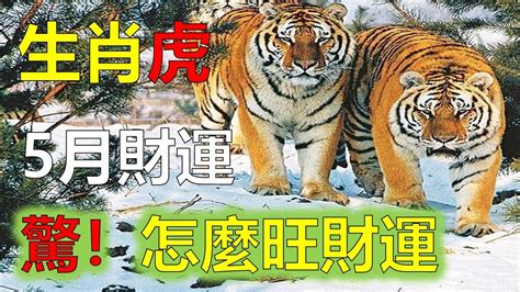 2023屬虎運勢1974|1974年属虎人2023年运势及运程，74年49岁生肖虎2023年每月运势